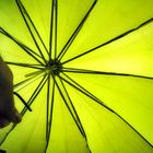 Die Frau mit dem Regenschirm ( 124); zusammen unter einem Schirm 
