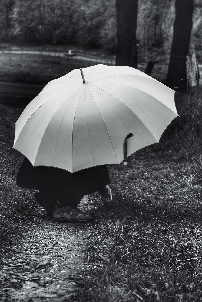 Die Frau mit dem Regenschirm (128); .....suche nach dem Glücksklee!