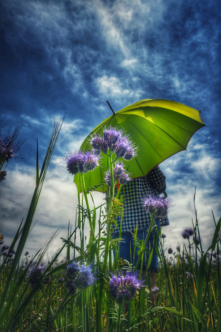 Die Frau mit dem Regenschirm (136); Abschied vom Sommer 