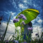 Die Frau mit dem Regenschirm (136); Abschied vom Sommer 