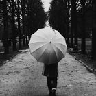 Die Frau mit dem Regenschirm (174);........ Grau in Grau Wetter