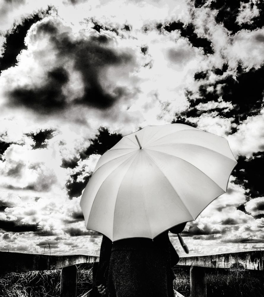 Die Frau mit dem Regenschirm (183); auf der Wolkenbrücke.....