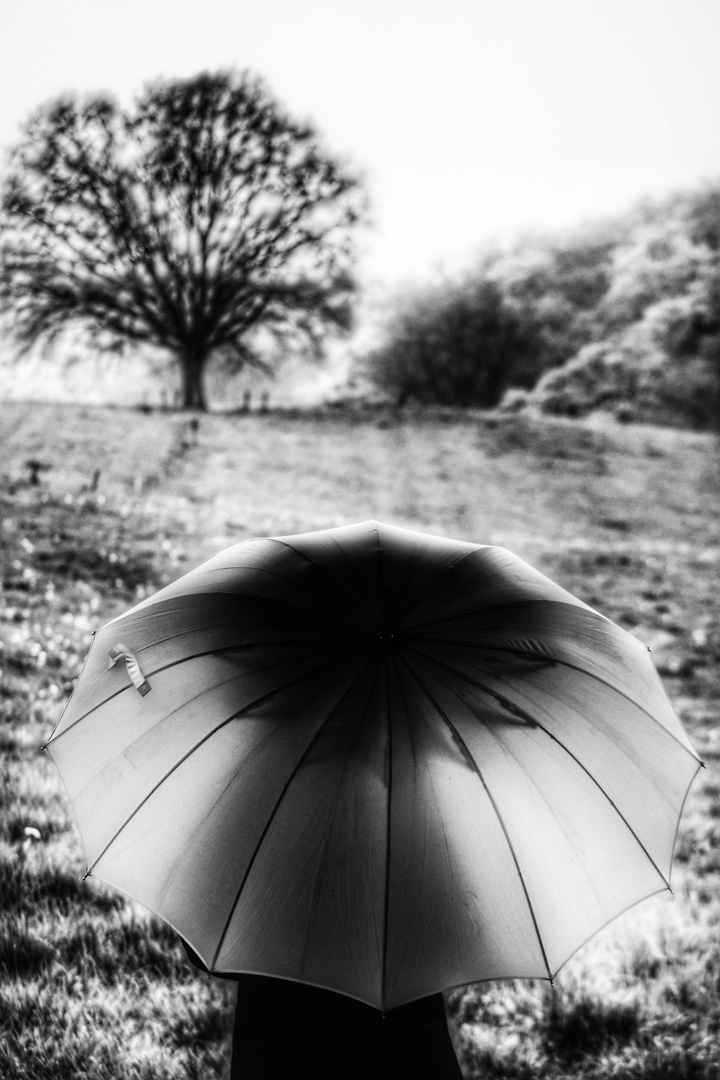 Die Frau mit dem Regenschirm; die Tage werden kühler......im Herbst     (22)