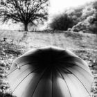 Die Frau mit dem Regenschirm; die Tage werden kühler......im Herbst     (22)