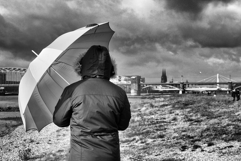 Die Frau mit dem Regenschirm; erreicht den Rhein und Köln (28)