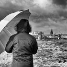 Die Frau mit dem Regenschirm; erreicht den Rhein und Köln (28)