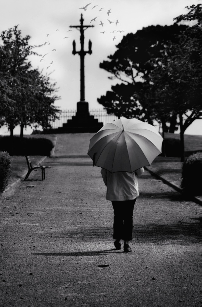 Die Frau mit dem Regenschirm erreicht ein Stück ihrer Heimat (67)