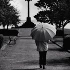 Die Frau mit dem Regenschirm erreicht ein Stück ihrer Heimat (67)