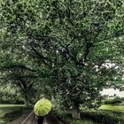 Die Frau mit dem Regenschirm findet einen Baum voller Schuhe.(88)