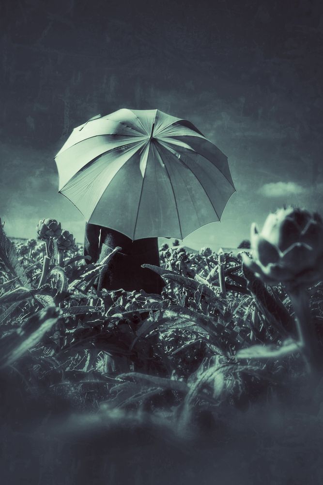 Die Frau mit dem Regenschirm im Artischocken Feld  (39)