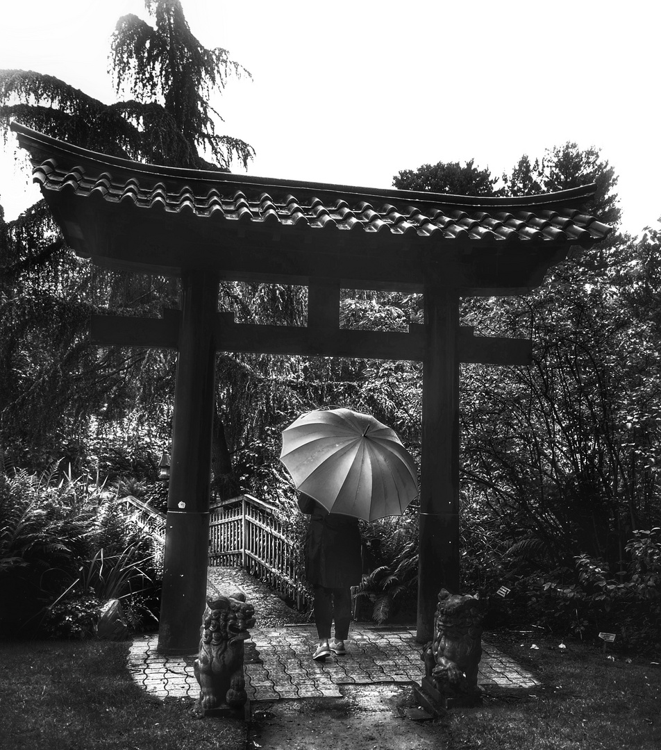 Die Frau mit dem Regenschirm im Japanischen Garten (99)