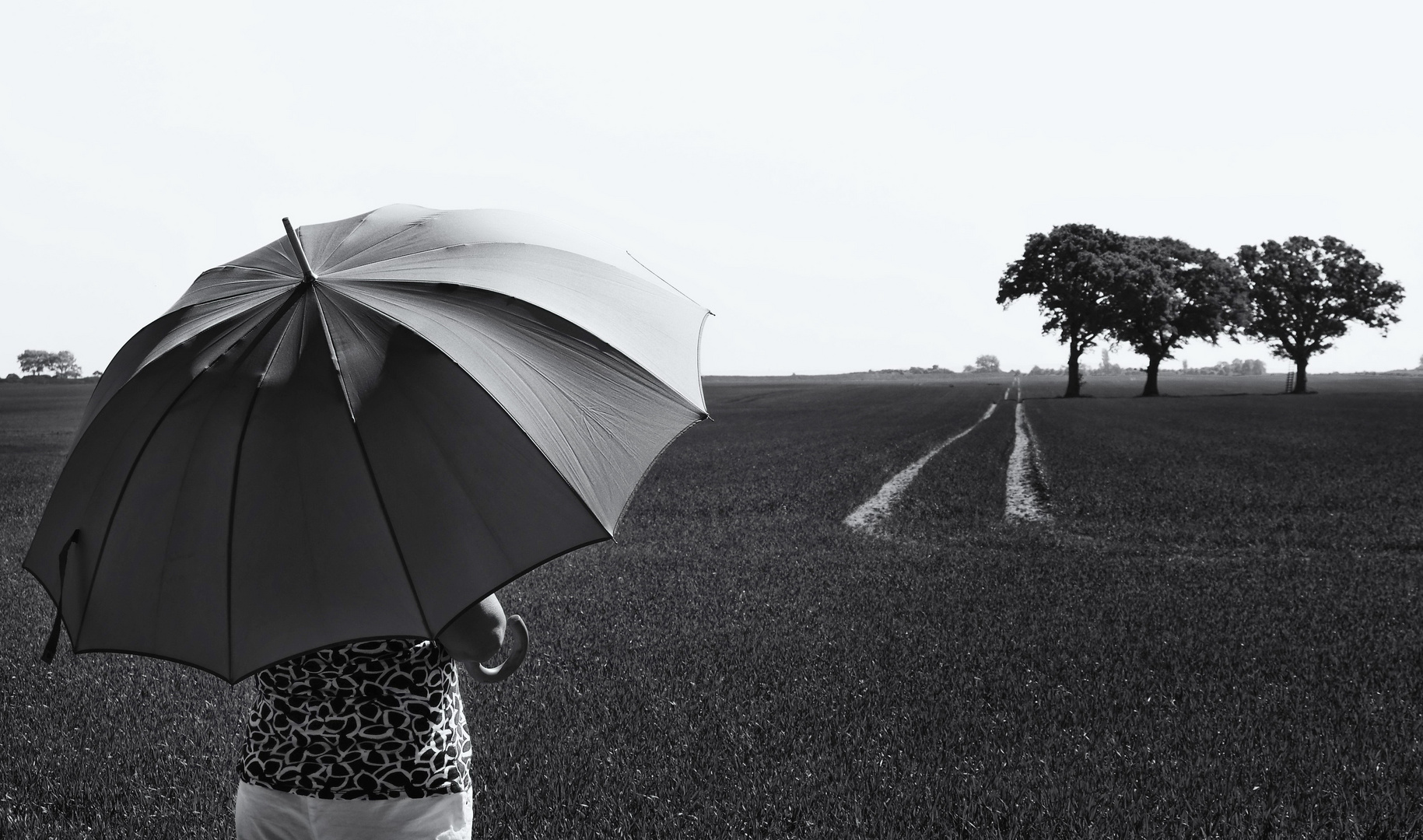 Die Frau mit dem Regenschirm ist am Feld der 3 Bäume angekommen (42)