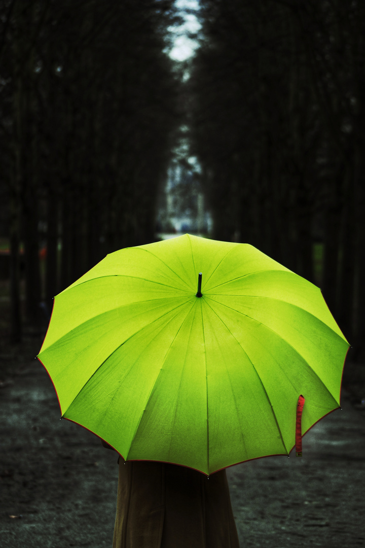 Die Frau mit dem Regenschirm macht sich wieder auf den Weg (77)