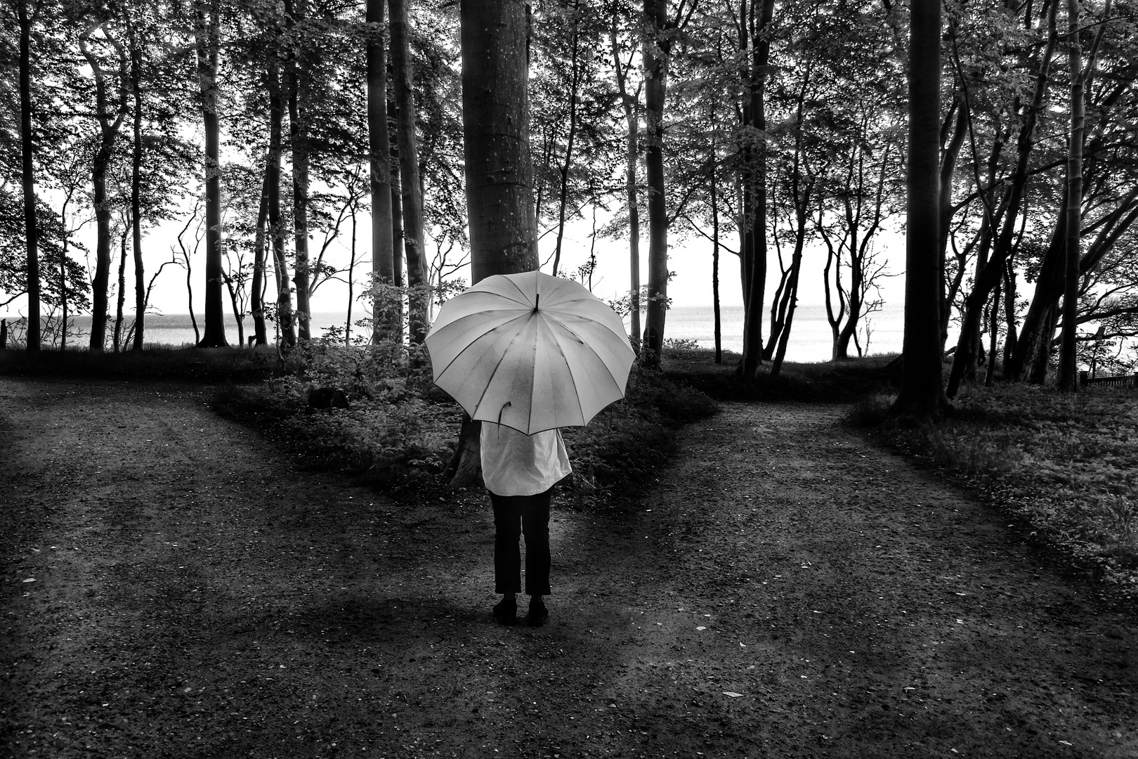 Die Frau mit dem Regenschirm muß sich mal wieder entscheiden (83)