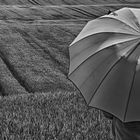 Die Frau mit dem Regenschirm, rätselt noch über den richtigen Weg (44)