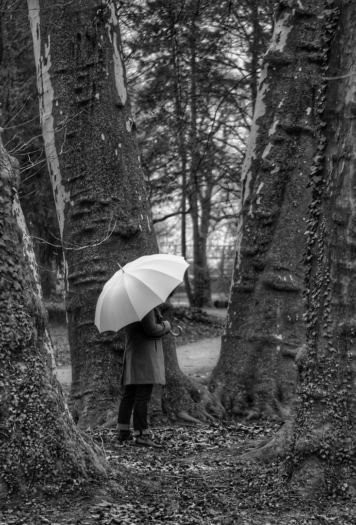 Die Frau mit dem Regenschirm spürt die Kraft der Bäume (34)