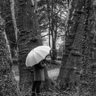 Die Frau mit dem Regenschirm spürt die Kraft der Bäume (34)