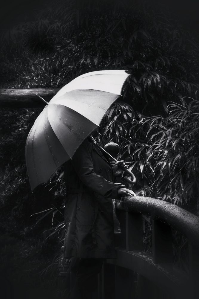 Die Frau mit dem Regenschirm steht auf einer kleinen Brücke (96)