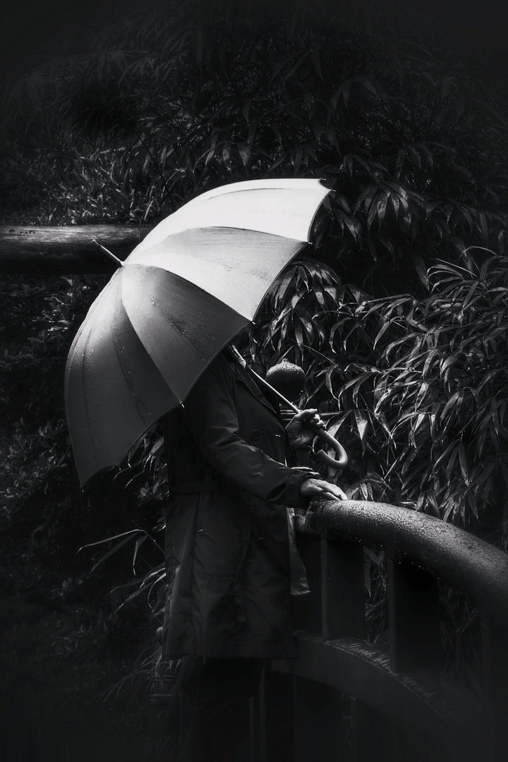 Die Frau mit dem Regenschirm steht auf einer kleinen Brücke (96)