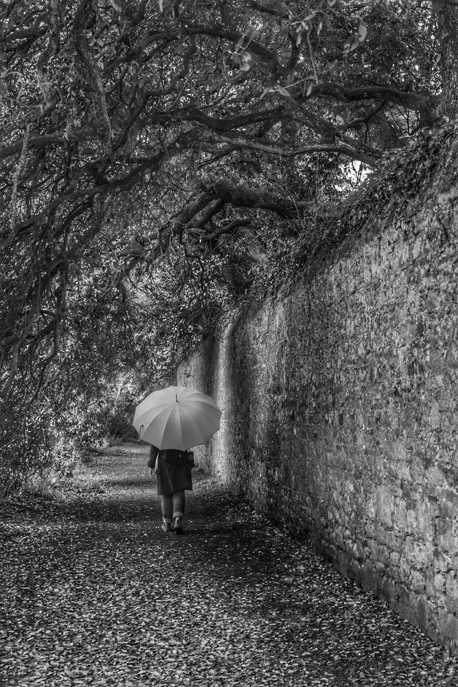 Die Frau mit dem Regenschirm; sucht also weiter nach einem Zugang ins Haus der Erinnerungen!