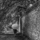 Die Frau mit dem Regenschirm; sucht also weiter nach einem Zugang ins Haus der Erinnerungen!