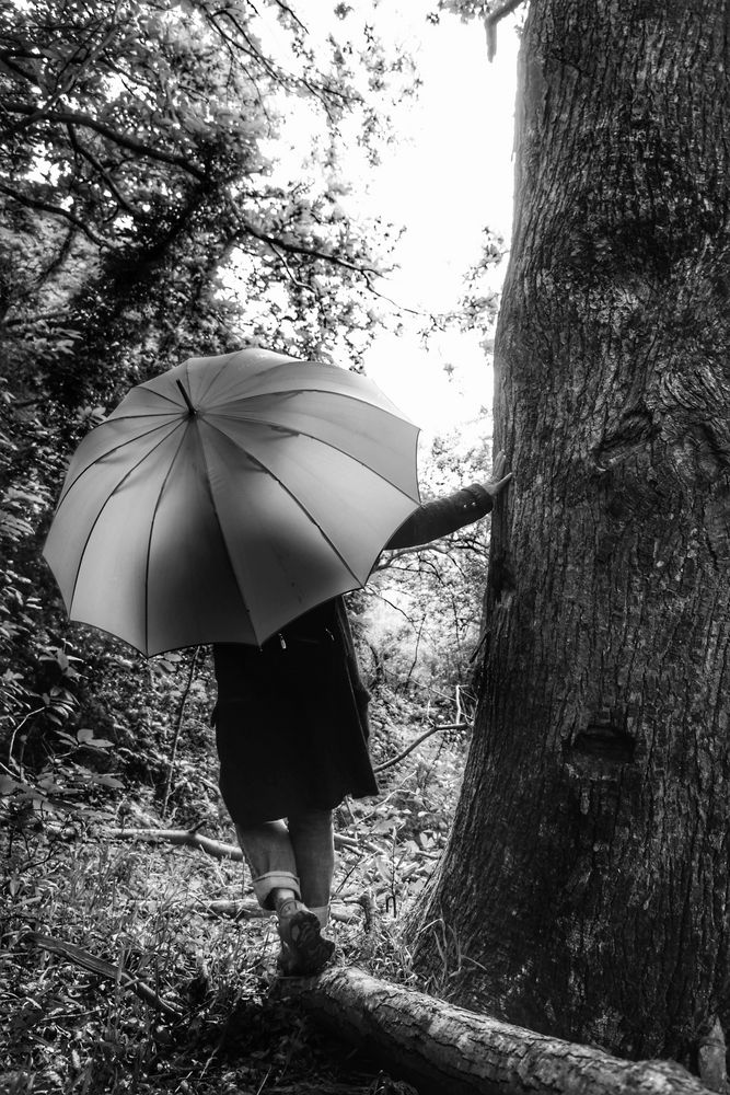 Die Frau mit dem Regenschirm wagt den Weg durch die Wildnis (40)