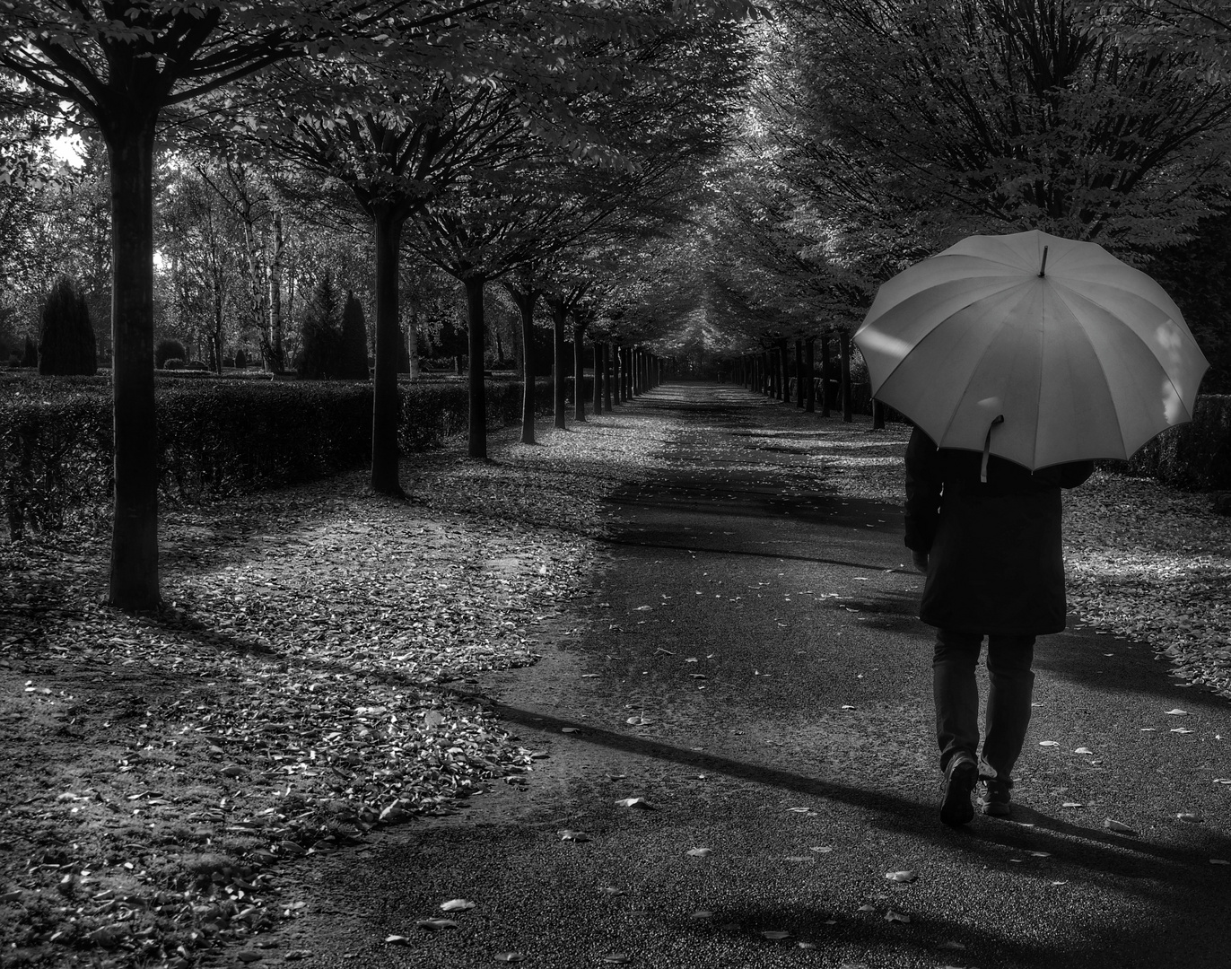 Die Frau mit dem Regenschirm; wandelt über den Friedhof der......... Erinnerungen (26)