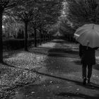 Die Frau mit dem Regenschirm; wandelt über den Friedhof der......... Erinnerungen (26)