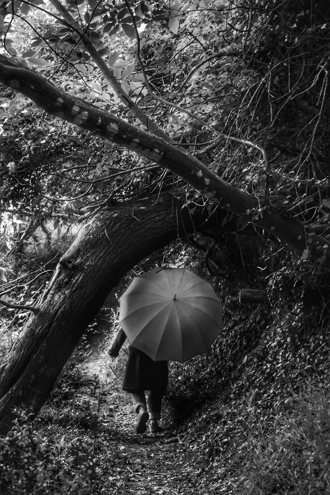 Die Frau mit dem Regenschirm, wandert auf dem  GR34 bei Plougoulm