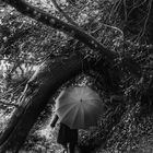 Die Frau mit dem Regenschirm, wandert auf dem  GR34 bei Plougoulm