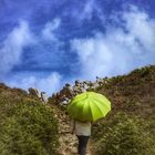 Die Frau mit dem Regenschirm wandert weiter auf dem GR34 (68)