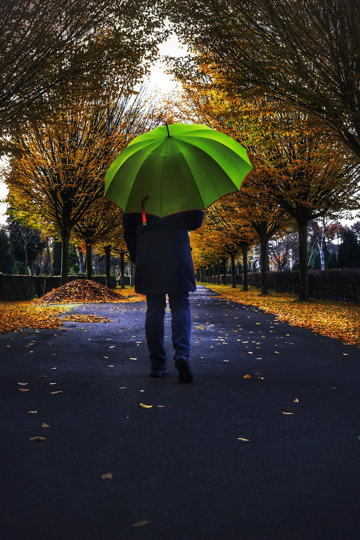 Die Frau mit dem Regenschirm wird vom Herbst eingeholt (50)