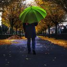 Die Frau mit dem Regenschirm wird vom Herbst eingeholt (50)