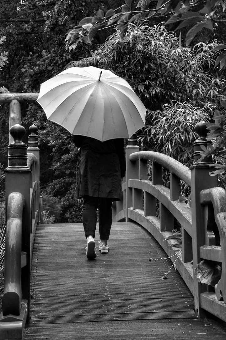 Die Frau mit dem Regenschirm,.....will die Brücke überqueren!