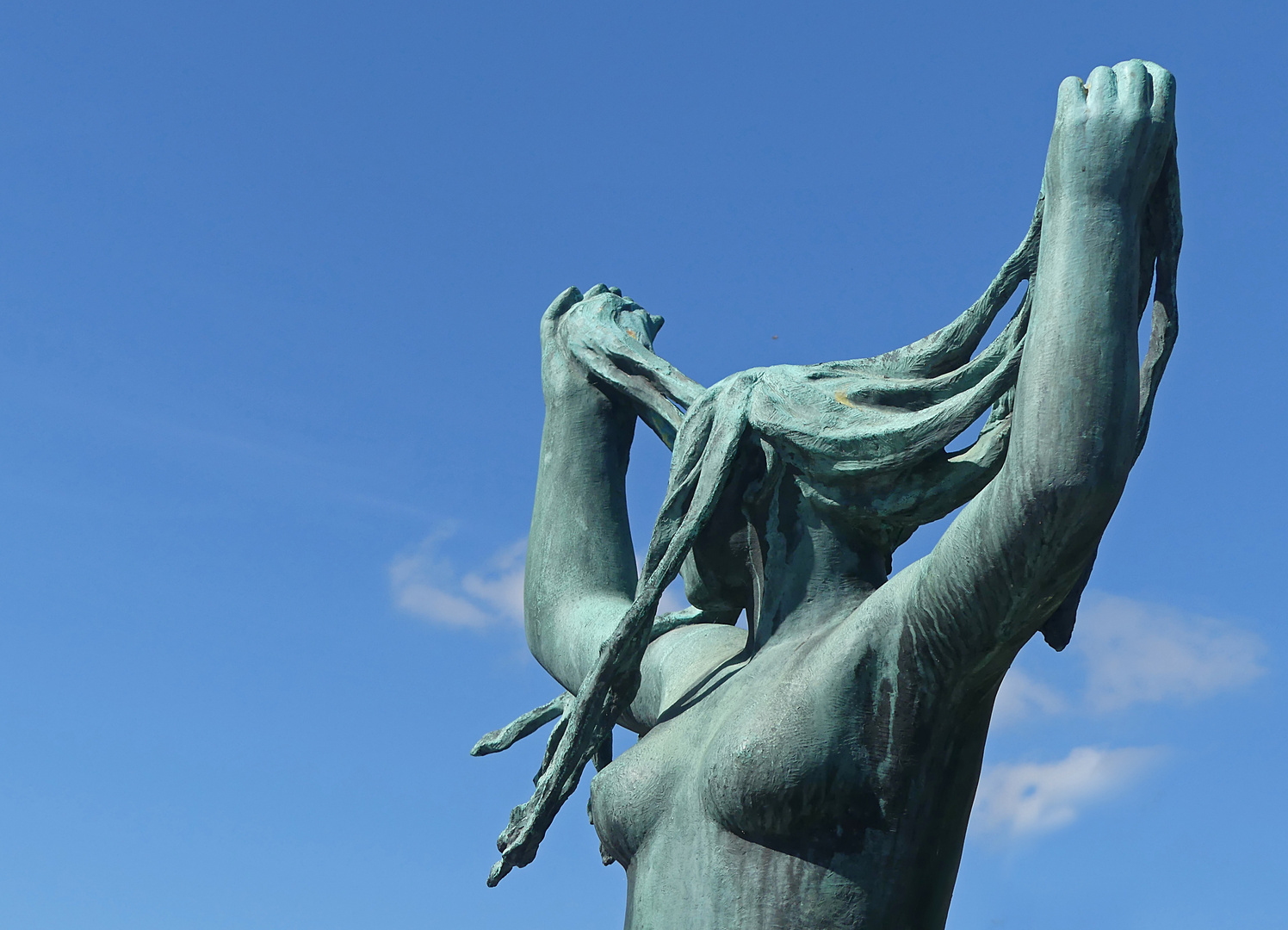 Die Frau mit den Haaren