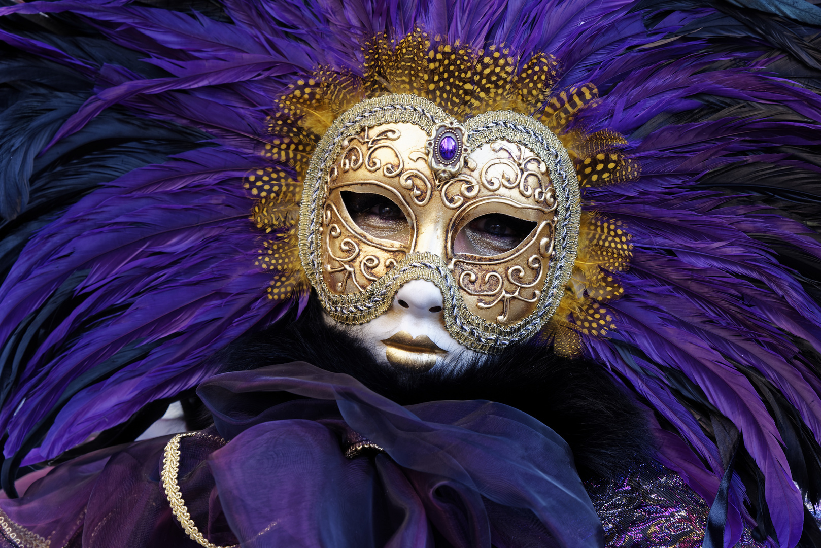 Die Frau mit der Federmaske, carnevale di venezia, Karneval von Venedig/Italien