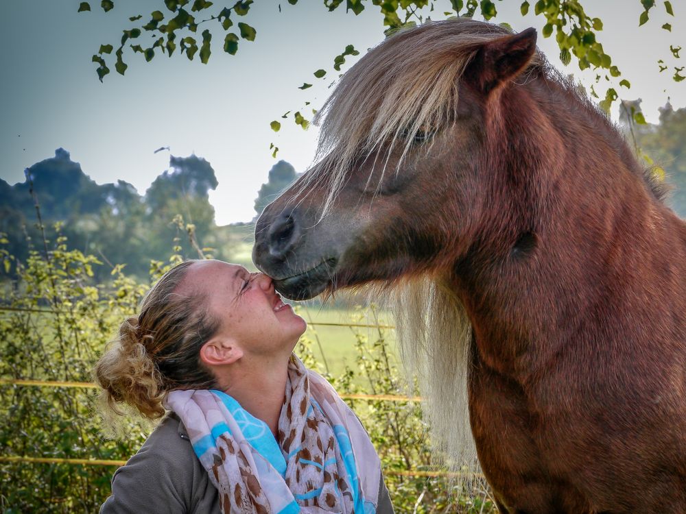 Die Frau und das Pony