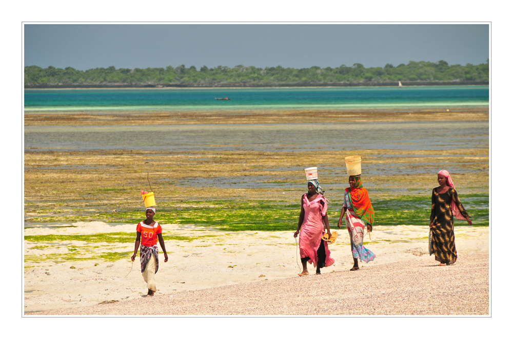Die Frauen von Zanzibar