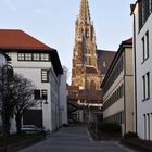 die Frauenkirche in Esslingen