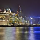 Die Freedom of the Seas...