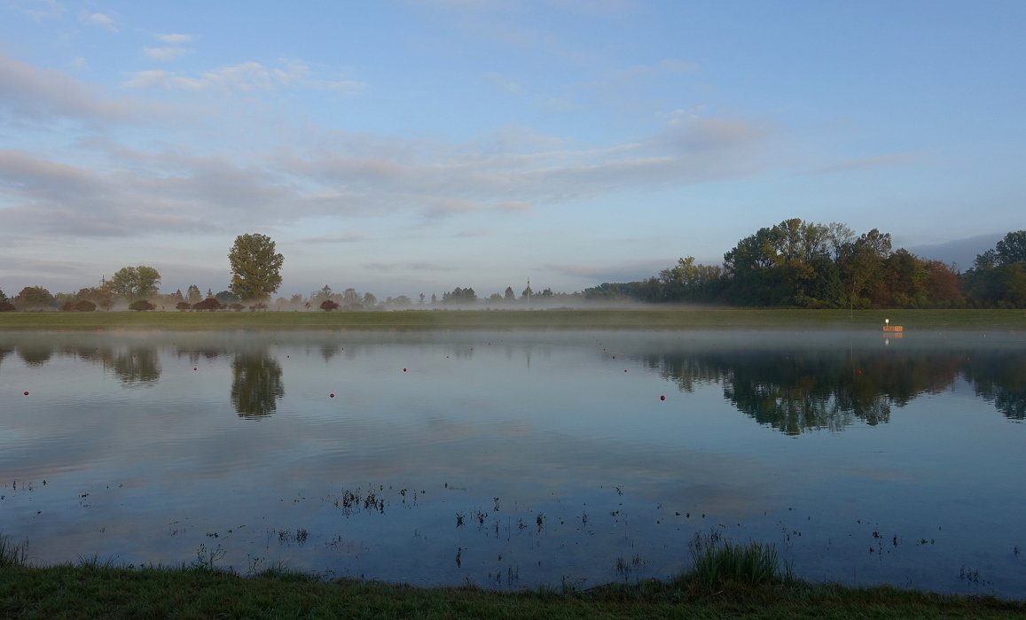 Die freie Entfaltung des Morgens