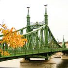 Die Freiheitsbrücke in Budapest