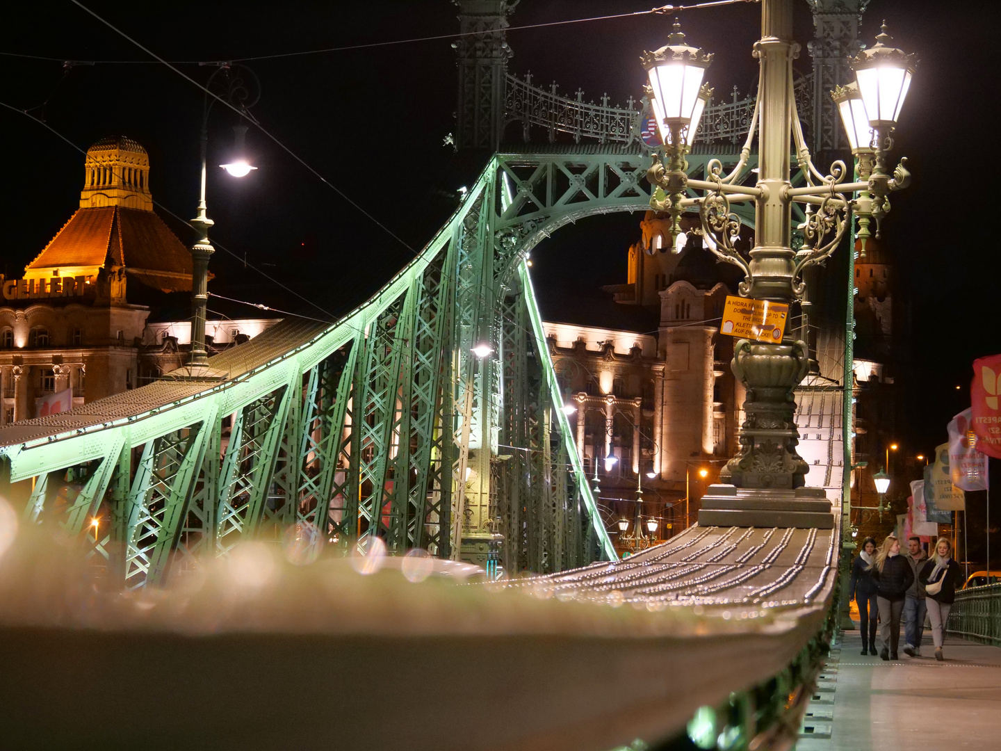 Die Freiheitsbrücke in Budapest