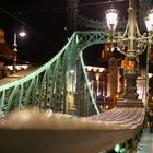 Die Freiheitsbrücke in Budapest