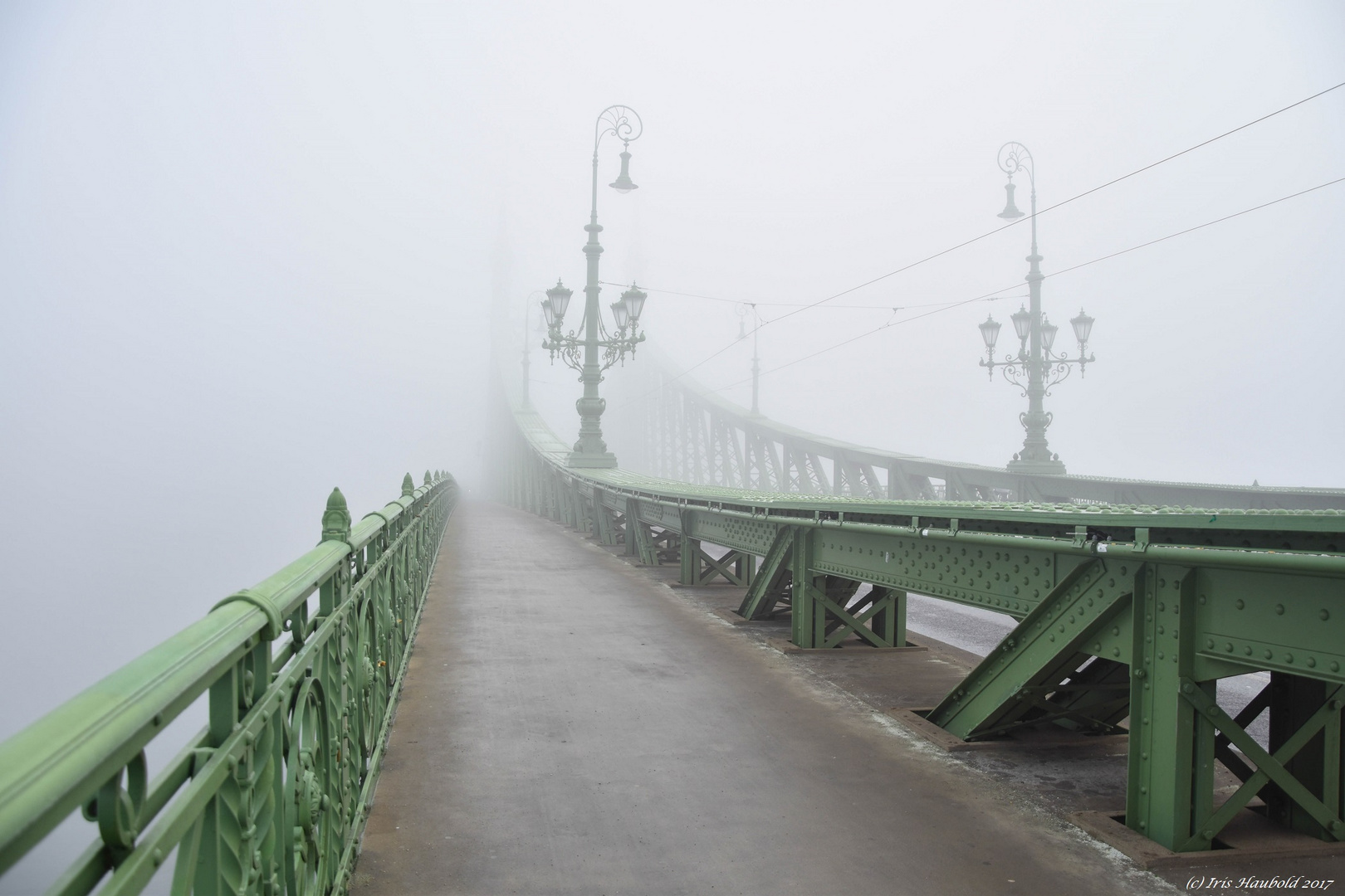 Die Freiheitsbrücke verschwindet im Nebel