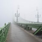 Die Freiheitsbrücke verschwindet im Nebel