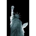 Die Freiheitsstatue - Statue of Liberty - USA 2008 (Ausschnitt)