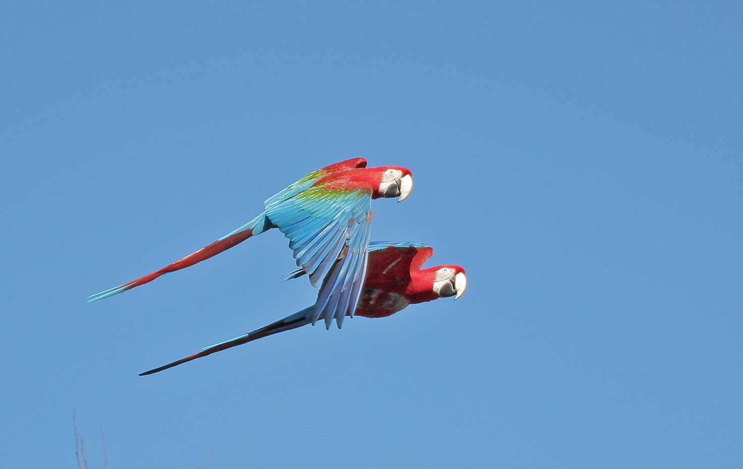 Die Freude am Fliegen sieht man ihnen an