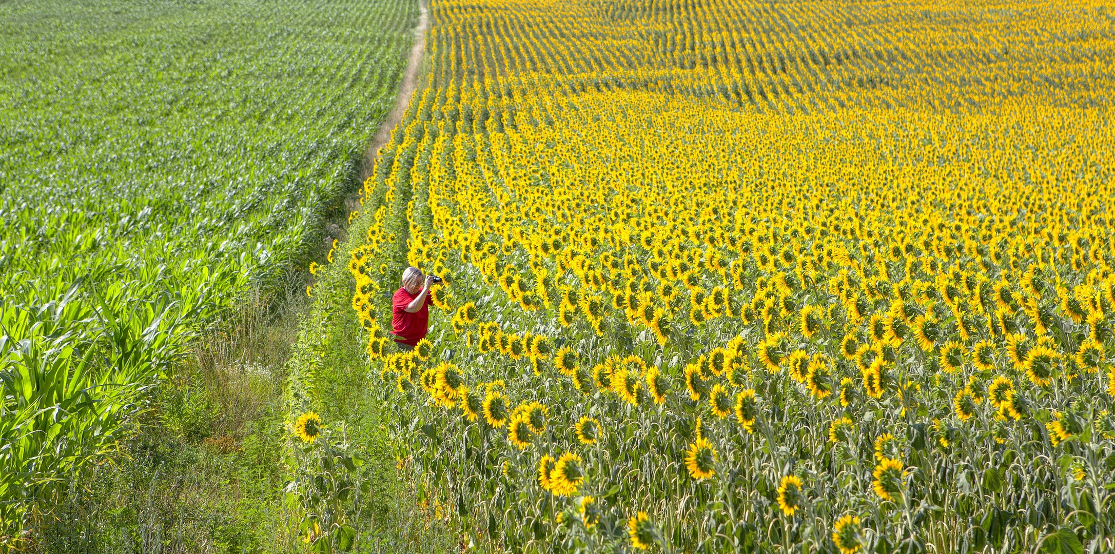 die Freude der Fotografie