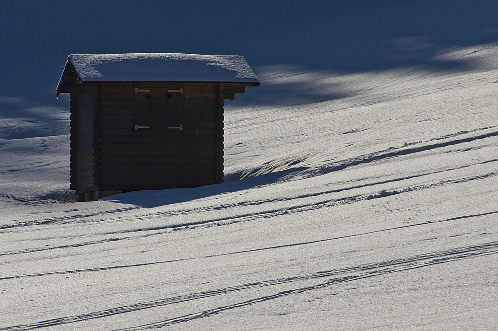 Die Freuden des Winters